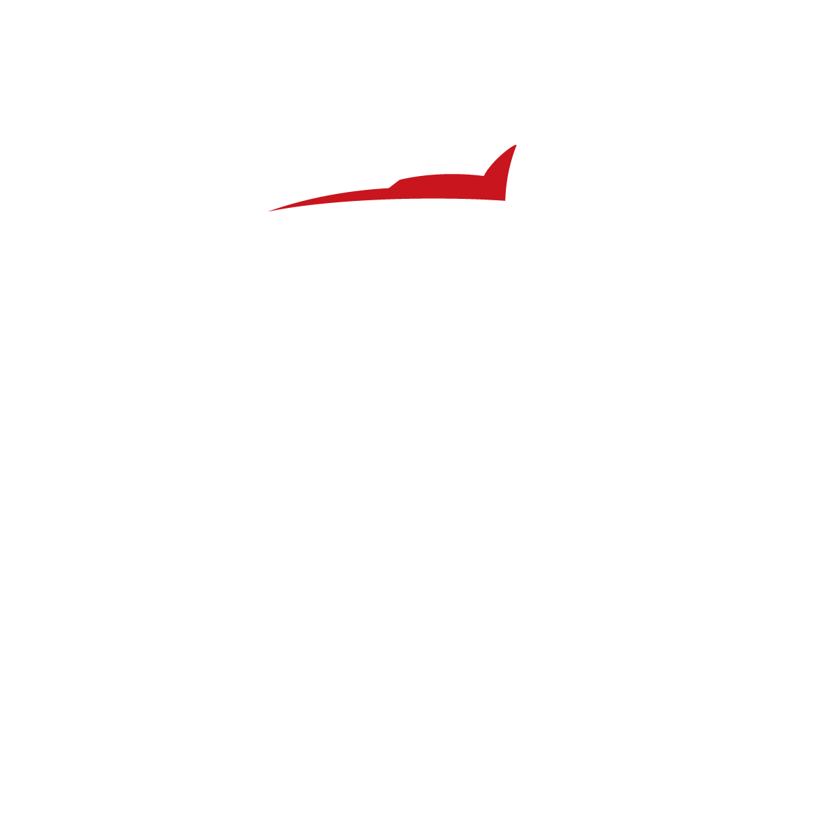 Leoch
